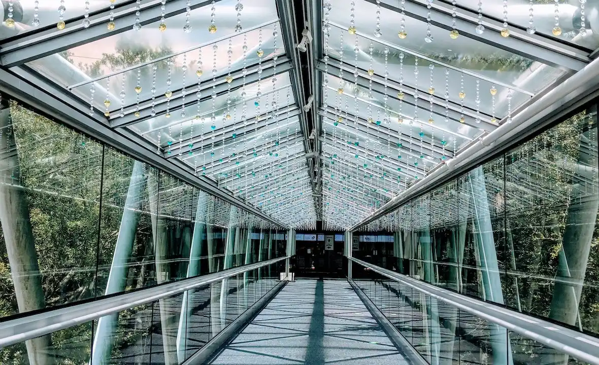 Glass Walkway Orlando Science Center surrounded by trees