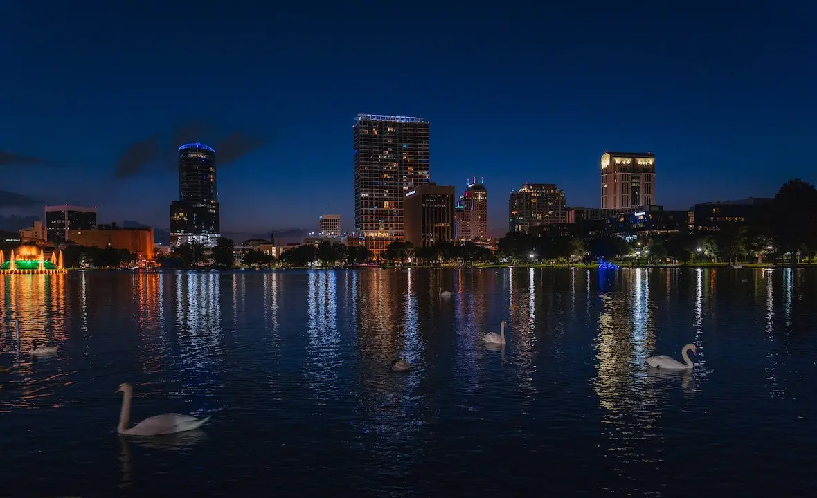 Swans in the Lake Eola Park, Orlando Florida at Night